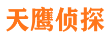 青龙侦探公司